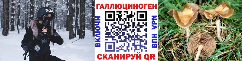 Купить закладки  Кувандык  Галлюциногенные грибы прущие грибы 